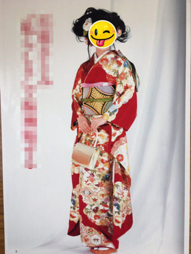 雲取り文様 本振袖 仕立て上がり 正絹長襦袢付き 新品 着物