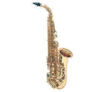 🎷サックスやれる人募集！🎷