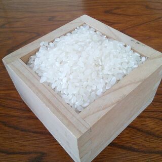お米　新米　コシヒカリ　冷和元年宇都宮産