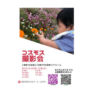 コスモス撮影会  10/22