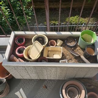貰ってください。無料。植木鉢色々・プランター・植木(パキラ？)
