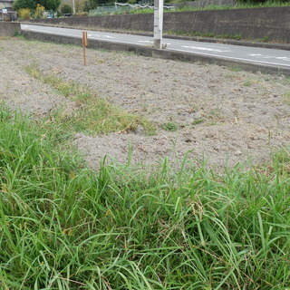 貸し農園　家庭菜園　自分で畑をしませんか？　農地賃貸　車両スペースあり　貸農園　サンデー農園 − 奈良県