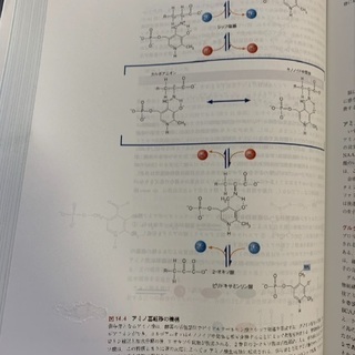 マッキー生化学 750円の画像