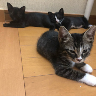 2019/07/28に生まれました