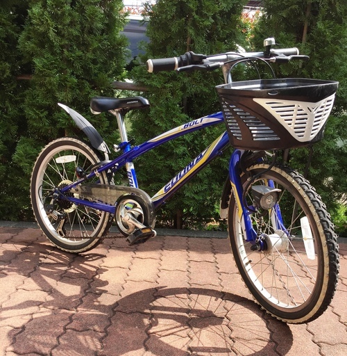 こども用２０インチ自転車ジュニアMTB オートライト6段変速 あさひSEDOMAセドナ