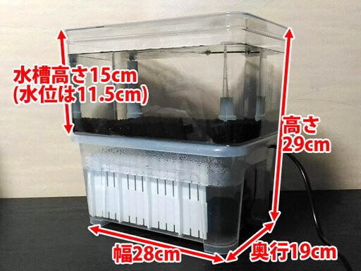 【自作オーバーフロー水槽】　ミニサイズ　ハンドメイド　【アクアリウム】