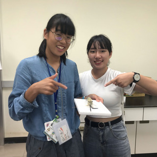 大学生向けレポート・論文の書き方の画像