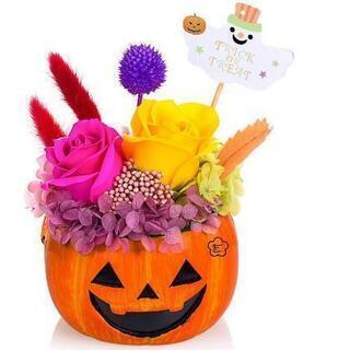 プリザーブドフラワー 鉢花 ハロウィン かぼちゃ パンプキン ジ...
