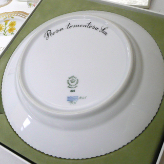 ロイヤルコペンハーゲン フローラダニカ プレート 19.5㎝ イヌバラ 絵