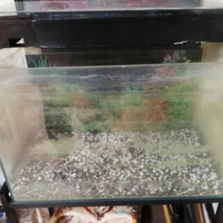 60cm水槽・上部取付外部濾過機