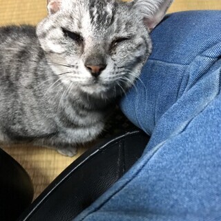 甘えたちゃんの熟熟女 にがり - 姫路市