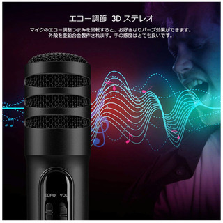 《値下げ！》コンデンサーマイク エコーも可能の画像