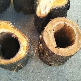 オオヤマザクラのパイプ丸太！オブジェ、プランター、薪などに。茨城県潮来市。の画像