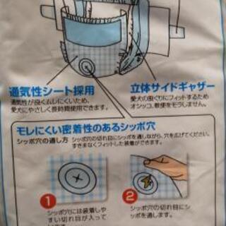 【11月処分予定】ペット用紙オムツLLサイズ