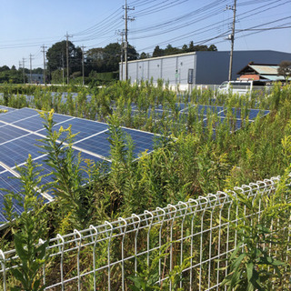 栃木県壬生町　草刈りバイト15名募集　草刈り経験者等の画像