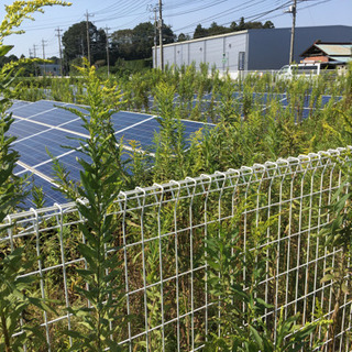 栃木県壬生町　草刈りバイト15名募集　草刈り経験者等の画像