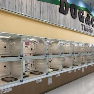 ペットショップ　販売スタッフ募集！！の画像