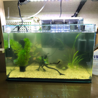 熱帯魚・ライト・エアーポンプ等