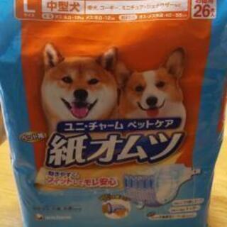 【11月処分予定】犬用紙オムツＬサイズ26枚入り