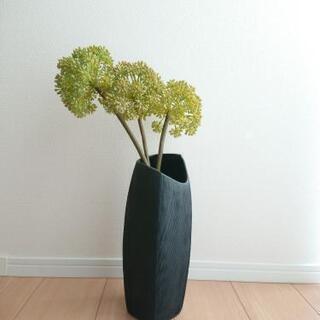 人口観葉植物①