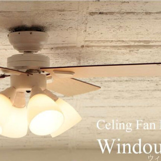 シーリングファン windouble 4灯 美品