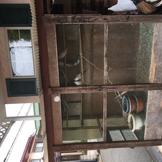 鳥小屋 いかがですか？
