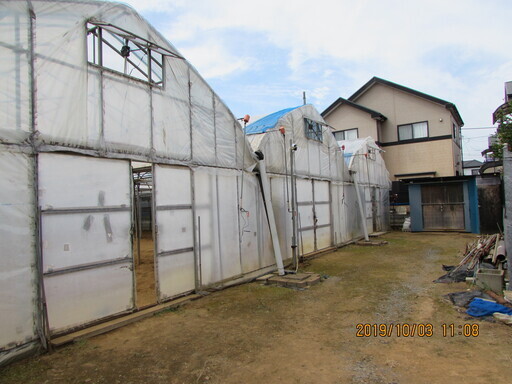 ビニールハウス　ストロングハウス　３連棟　広さ１８ｍ×３８．５ｍ
