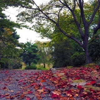 🍁🍁✨郡山で遊び隊🍁🍁✨10月13日楽しい芋煮会をよろしくお願い...