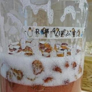 💕💕ミネラル醗酵ドリンク教室💕💕