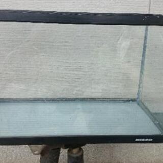 　ニッソー60cm 曲面水槽譲ります