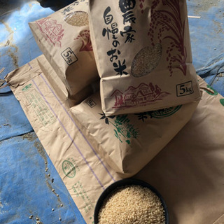 令和元年 コシヒカリ5kg の画像