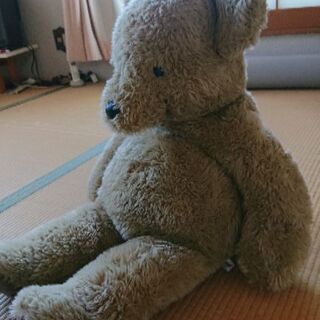 クマのぬいぐるみの画像