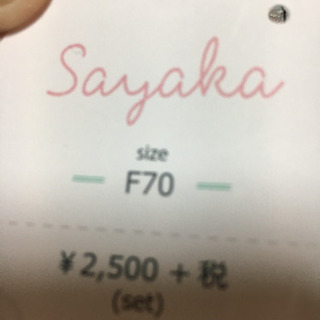 ブラショーツセット F70の画像