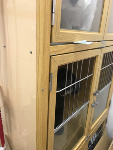 犬のサロンで使用していた 【三段犬舎】