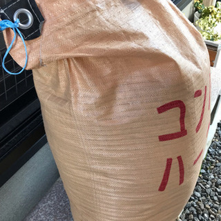 古米、売ります。【売り先決まりました】