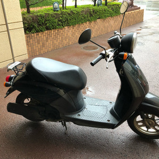 af61ホンダトゥデイ原付50ccの画像