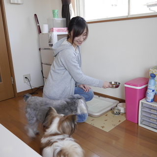 柏市のペットシッター、散歩代行、ペット介護は経験豊富なシッターにお任せ下さい。法人経営で安心。 - 柏市