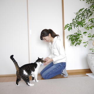 柏市のペットシッター、散歩代行、ペット介護は経験豊富なシッターにお任せ下さい。法人経営で安心。 - ペット