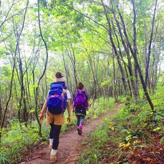 登山仲間募集
