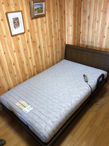 電動ベット リクライニング セミダブル、フランスベッド