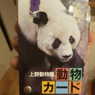 上野動物園 動物カード