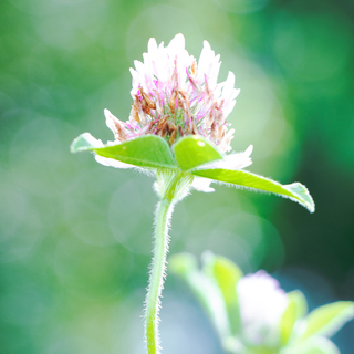 女性カメラマンによるカメラ教室の画像