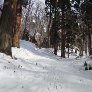 平日に戸隠神社五社巡り行きませんか？ - 友達