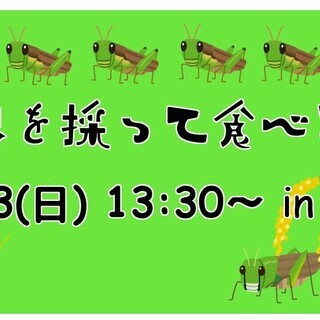 昆虫を採って食べる会 in 御宿 ~バッタ会~