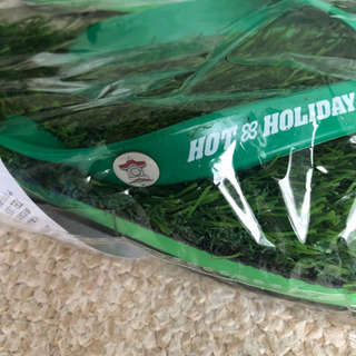 HOT&HOLIDAYS ターフサンダル JRA非売品の画像