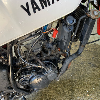 rz50の画像