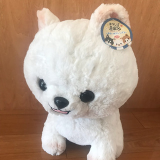 新品 まゆしば 豆麻呂 ぬいぐるみ
