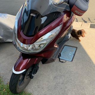 pcx jf56 ESP