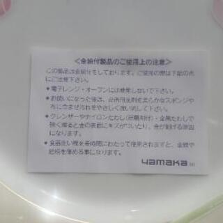 レンチン駄目だって‼（1）の画像