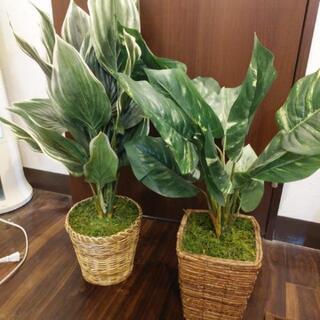 造花 観葉植物 2点セット